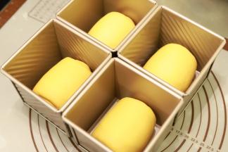 放入4个水立方模具内