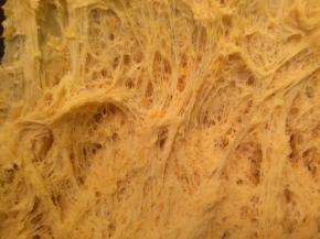 盖上保鲜膜，冰箱5度冷藏17-24小时，内部呈拉丝状