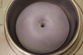 手粘少许面粉，插入面团，不塌陷不回缩即发酵完成