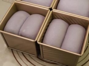 发至模具的八分，盖上吐司盖