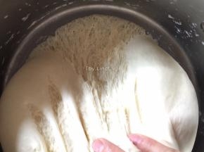 .用保鲜膜盖上发酵至2倍大，发酵好的面团手指戳下不回缩，扯开有蜂窝状组织即为发酵好了
