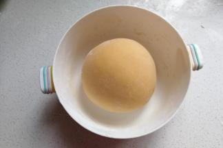 然后揉成光滑的面团放温暖处发酵