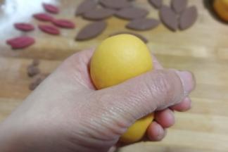 然后在三分之一处挤出大黄狗的头部