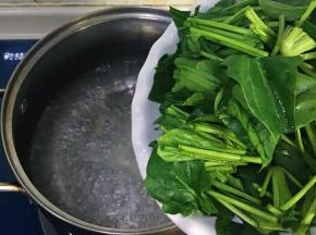 菠菜洗净切段后锅里放盐焯水