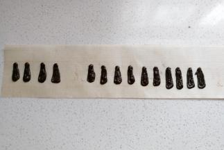 然后将少许巧克力装入裱花袋隔热水溶化，溶化后裱花袋剪小口，在油纸或油布上挤出小狗耳朵形状然后把挤好的奶油用抹刀稍微抹平