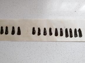然后将少许巧克力装入裱花袋隔热水溶化，溶化后裱花袋剪小口，在油纸或油布上挤出小狗耳朵形状然后把挤好的奶油用抹刀稍微抹平