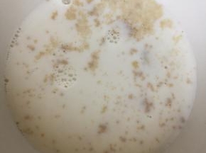 酵母中加入糖和适量的温牛奶，慢慢就融合一起了