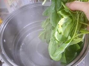 锅内烧开水，把菠菜烫一下