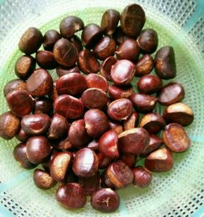 板栗冲洗干净沥水，用刀在板栗上打十字。