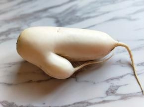 白萝卜如人身。(^_^)