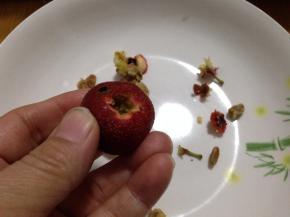 先用小刀腕去两头