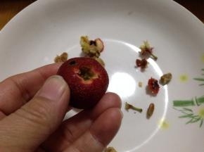 先用小刀腕去两头