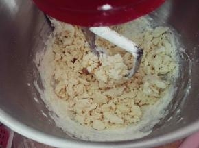 搅拌至无干粉的雪花颗粒状态，关闭厨师机。