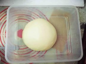 放入保鲜盒里密封好，在28度的环境中进行基础发酵。