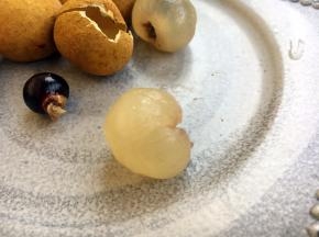 主要食材龙眼。
