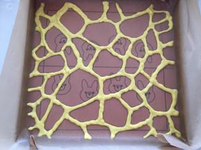 装入裱花袋，挤入烤盘，将彩绘垫放在油纸下面，照着上面的画出图案，放入烤箱160度，1分钟拿出