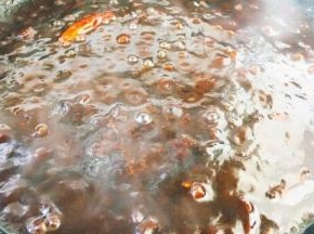 大火将食材煮开，煮的时候要随时翻炒酱料，将酱料与油融合在一起，后改中小火熬制酱料30分钟左右。