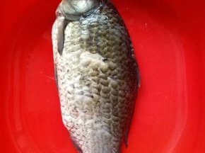 鱼一条清理干净