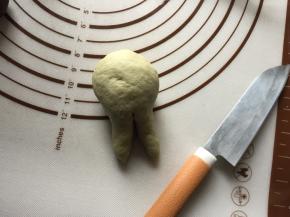 用锋利的刀将蝌蚪尾巴平均切成两段