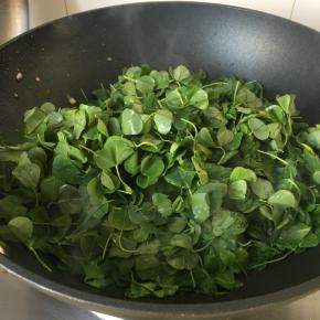 热锅热油放入金花菜