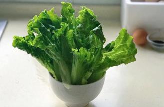 洗净的生菜竖起来沥干水分，也可以甩干水分