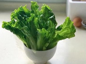 洗净的生菜竖起来沥干水分，也可以甩干水分