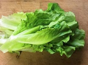 把生菜放在案板上，只取绿色部分