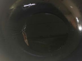 少量油，加花椒辣锅。去掉炒香的花椒籽