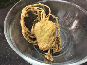 这种头菜爽脆可口，这是个头比较小的，大一点的一般都有糖心，有糖心的头菜更好吃。当然，这毕竟是腌制食物，亚硝酸盐含量高，少吃为妙，我们是一年吃一两次，解解馋～