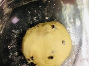 容器覆盖保鲜膜，进行基础发酵。温度25至28度，湿润75%。发酵至2个大。手指沾粉戳洞，不塌陷不回缩即可。