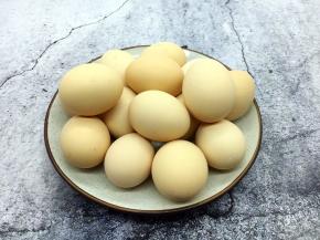 鸡蛋营养价值很高，是人类常食用的食物之一，是补充优质蛋白质的好食品。