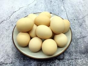 鸡蛋营养价值很高，是人类常食用的食物之一，是补充优质蛋白质的好食品。