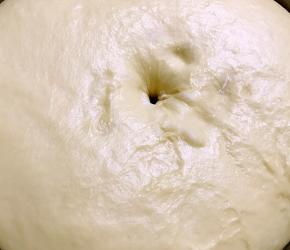 发酵至两到三倍大，手指粘上干面粉插入面团，面团的手指洞不回缩就可以了