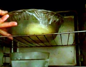 放入烤箱上层，底层放一碗开始，进行发酵