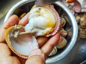 用餐刀从贝壳中间快速伸进去，割断一面的贝柱，这样就能打开贝壳，若手慢会闭的紧紧的，那就放一会，过一会就会慢慢的松开一点，用餐刀贴着贝壳割下另一面贝柱，整个的鸟贝肉就很完整的取下来