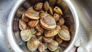 吃海鲜讲究的是新鲜，贝类一定要买活的，这鸟贝打眼一看有点像毛嘎啦（青岛的叫法），吐泥沙之后在流水下冲洗干净外壳