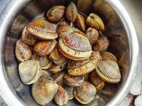 吃海鲜讲究的是新鲜，贝类一定要买活的，这鸟贝打眼一看有点像毛嘎啦（青岛的叫法），吐泥沙之后在流水下冲洗干净外壳