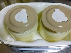 杯子放入酸奶机中