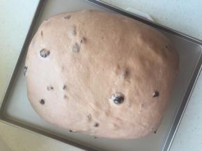 继续在28度环境下发酵30分钟