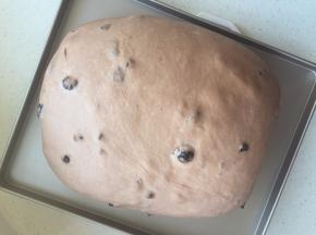 继续在28度环境下发酵30分钟