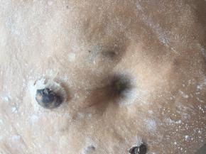 检查发酵状态，基本不回缩即可