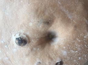 检查发酵状态，基本不回缩即可