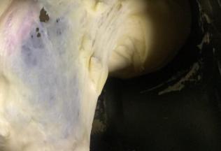 第二次和面程序结束，面团已经达到扩展阶段，可以拉出手膜状态