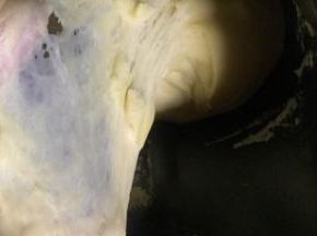 第二次和面程序结束，面团已经达到扩展阶段，可以拉出手膜状态
