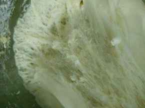 然后放到温暖处发酵一个小时左右，拉开有蜂窝状就可以了。