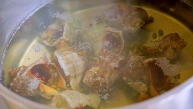 快速将海螺捞出