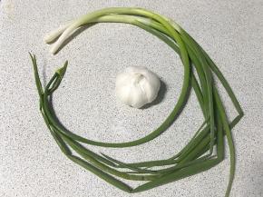 香葱两根，大蒜一头。