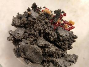 打好之后跟蔓越莓碎放一起。