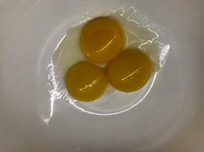 蛋黄蛋清分离