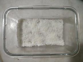 容器底部铺适量椰蓉。